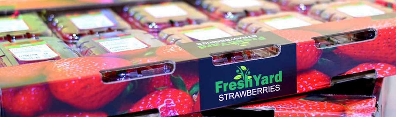 Fresh Yard for exporting